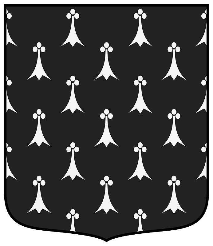 Coa Illustration Tincture Ermines