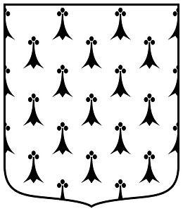 Coa Illustration Tincture Ermine v3