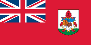 Flag of Bermuda (2014 Winter Olympics)