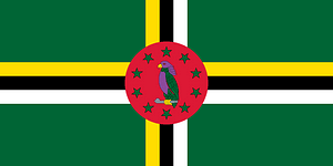 Flag of Dominica (2014 Winter Olympics)