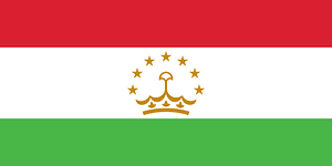 Flag of Tajikistan (2014 Winter Olympics)