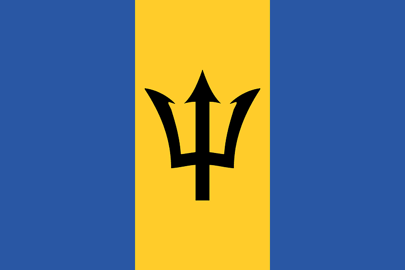 Flag of Barbados (2016 Summer Olympics)