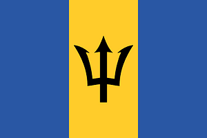 Flag of Barbados (2016 Summer Olympics)