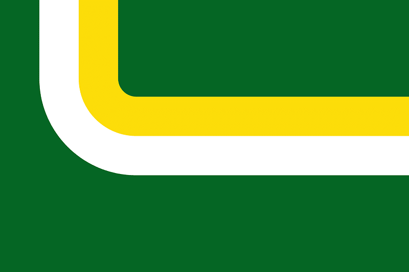 Flag of Lejanías (Meta)