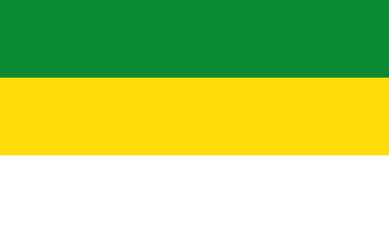 Flag of San Carlos de Guaroa, Meta