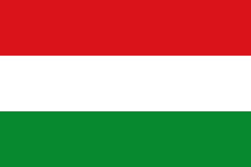 Flag of Puerto López, Meta