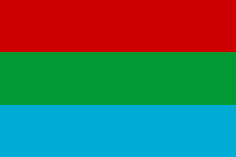 1991 Belarus Flag Proposal