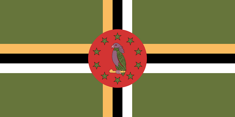 Flag of Dominica (1996 Summer Olympics)