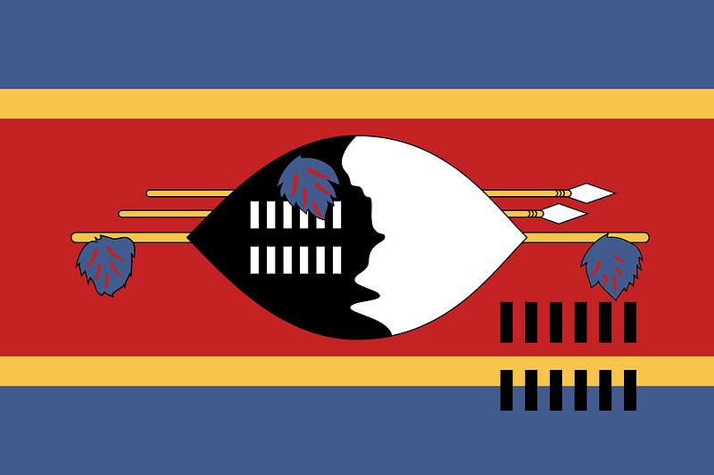Flag of Swaziland (1996 Summer Olympics)