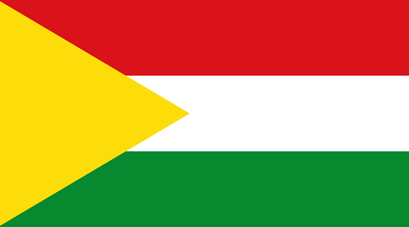 Flag of Nilo, Cundinamarca