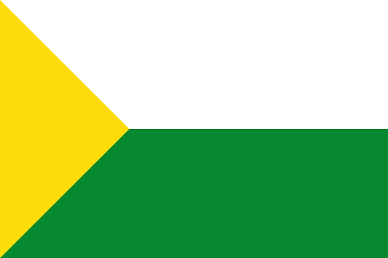 Flag of Puerto Salgar, Cundinamarca