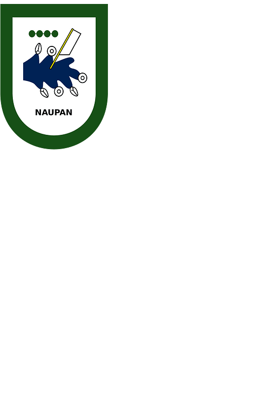 Escudo de Naupan Puebla