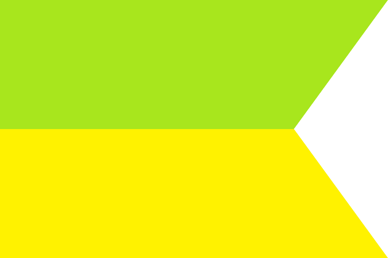 Flag of the Surguja State