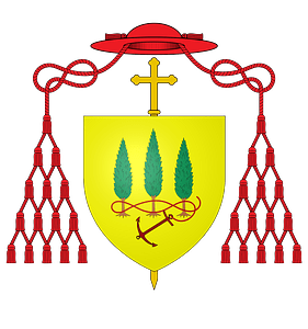 COA Card Domenico Capranica