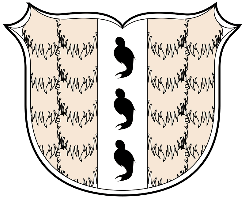 Coa Austria Town Bregenz 2