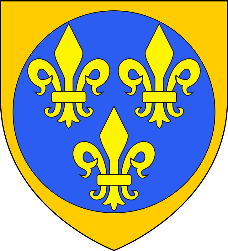 Stemma di Ferdinando II de Medici