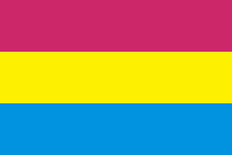 Flag of the Udaipur State