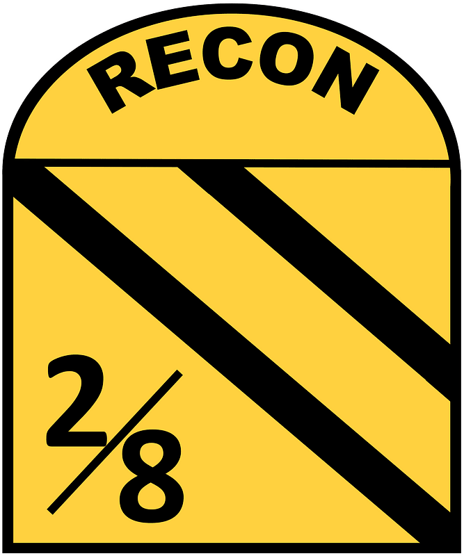 US Army Recon Platoon-2nd Bn 8th Cav Regt-1st Cav Div Beret Flash-Vietnam Era