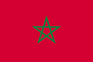 Flag of Morocco-2005 (color shades variant)