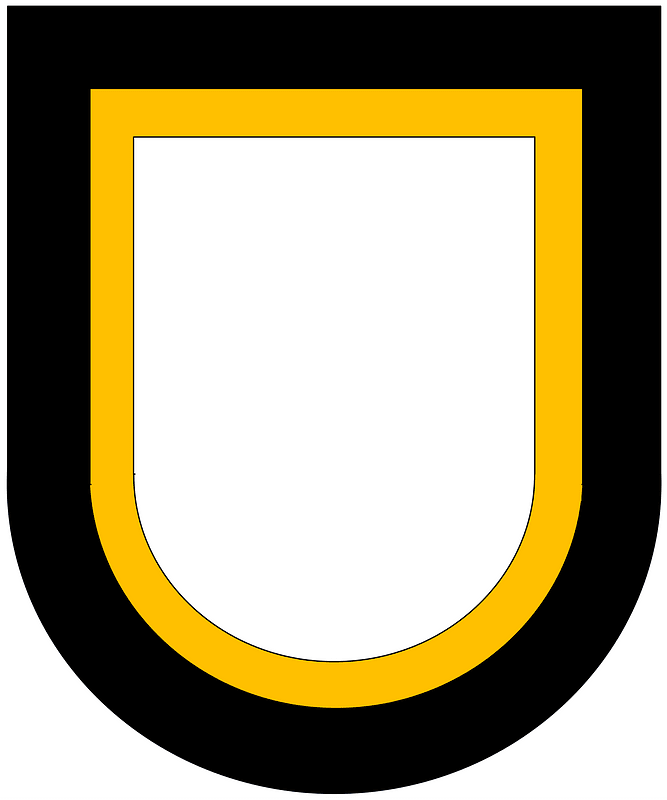 Former US Army 101 Airborne Division Beret Flash
