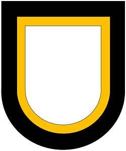 Former US Army 101 Airborne Division Beret Flash
