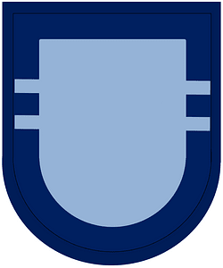 Former US Army 502nd Infantry Regiment-2nd Battalion Beret Flash