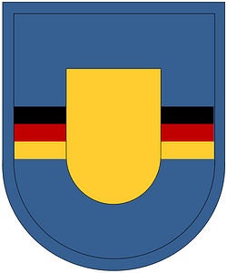 US Army 5th QM Co Beret Flash