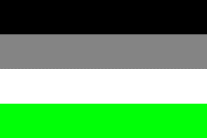 Agender pride flag agender info