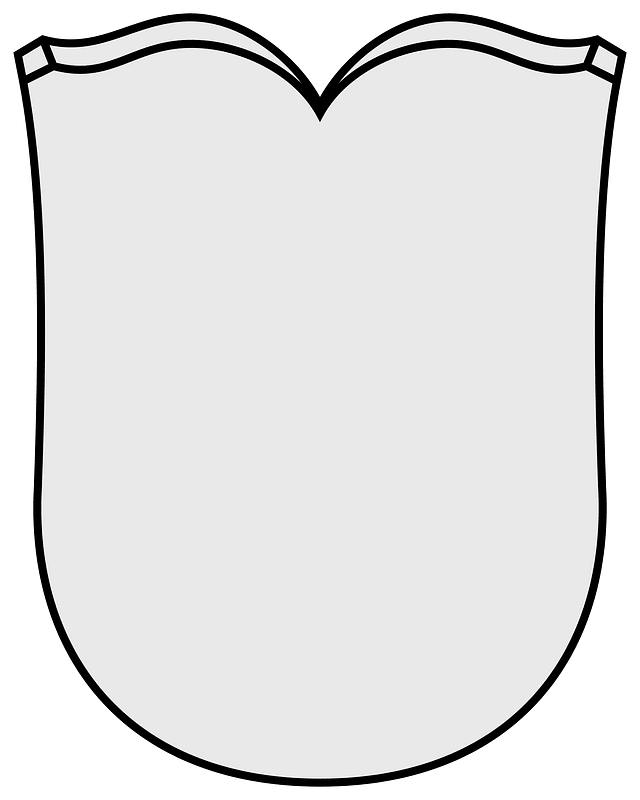 Coa Illustration Shield Round base 3