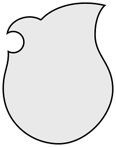 Coa Illustration Shield Targe 2