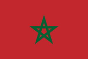 Flag of Morocco unbordered