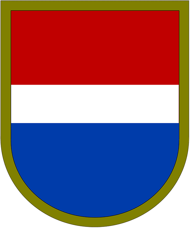 Former US Army 109th Military Intelligence Battalion-LRS Beret Flash