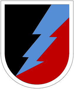 Former US Army 106th Military Intelligence battalion-LRSD Beret Flash