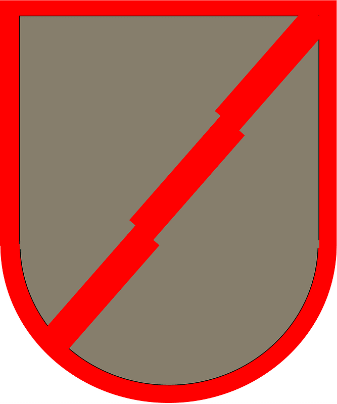 Former US Army 101st Military Intelligence Battalion-D Company-LRSD Beret Flash