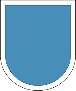 Former US Army Special Forces Reserve Beret Flash