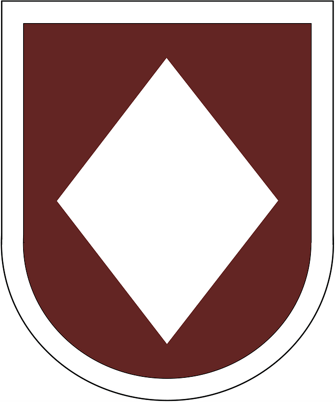 Former US Army 44th Medical Brigade Beret Flash
