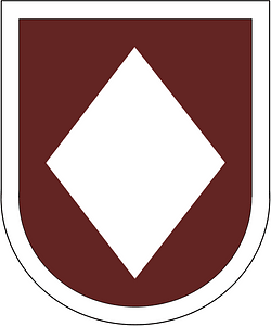 Former US Army 44th Medical Brigade Beret Flash