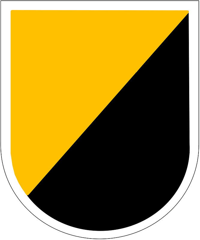 Former US Army Ranger Training Brigade Beret Flash