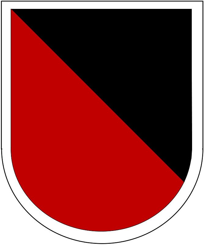 Former US Army 311th Military Intelligence Battalion-LRSD Beret Flash