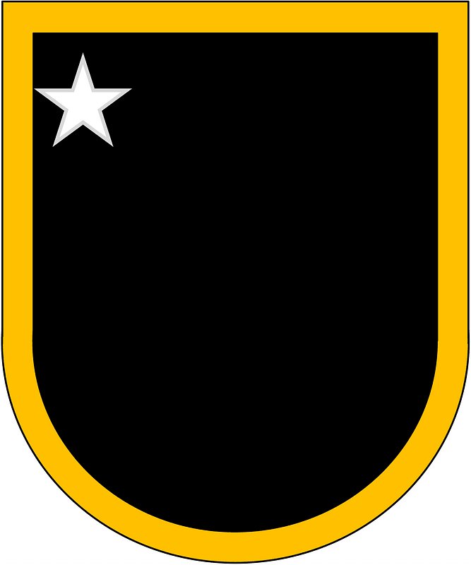Former US Army 207th Infantry Group LRSD Beret Flash
