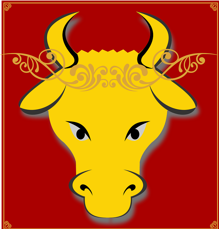 Banner vi-wiki-2021