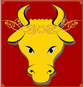 Banner vi-wiki-2021