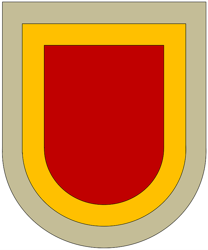 Former 101st Division Support Command Beret Flash
