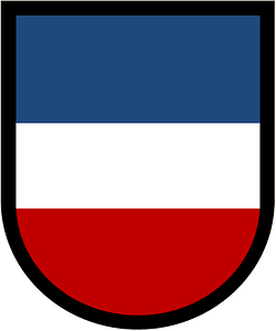 Former US Army Forces Command Beret Flash