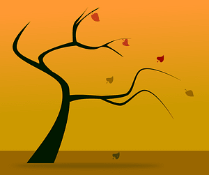 Fall silhouette 2