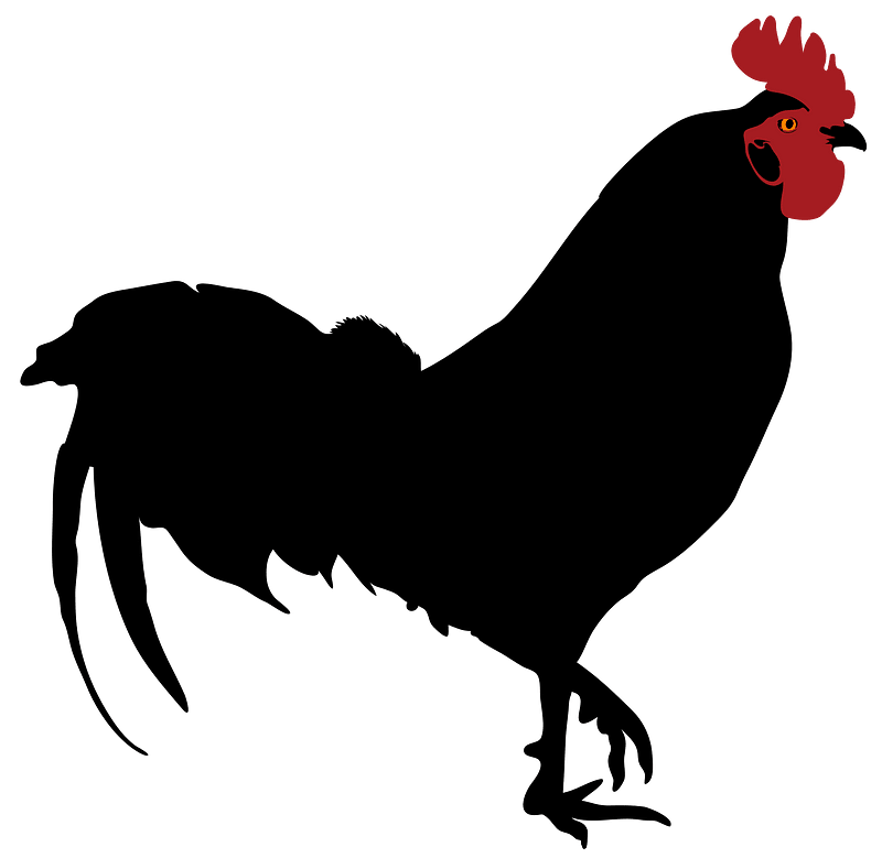 Rooster silhouette 02