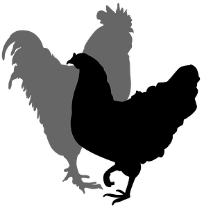 Rooster and hen silhouette 02