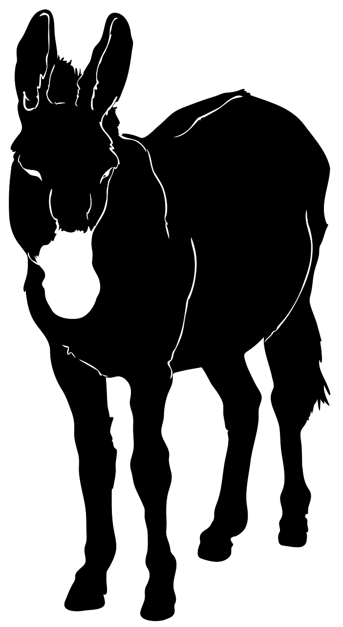 Donkey silhouette 02