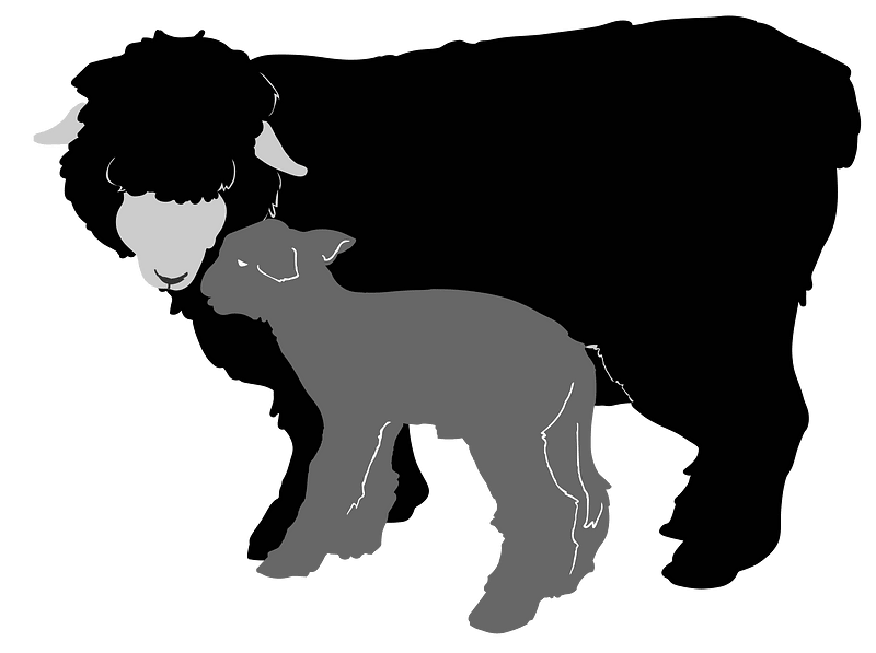 Sheep silhouette 02