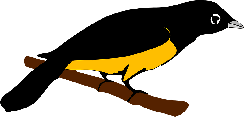 Montserrat oriole logo